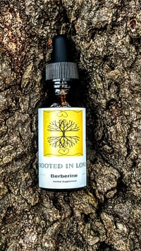 Image 2 of Wildcrafted Berberine Root extract