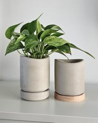 Wave Planter