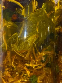 Image 4 of Solar plexus chakra oil 