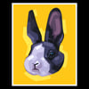 Yellow Bun - Signed 11"x14" Prints