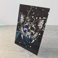 Image 5 of Skull Butterfly Acrylglassprint