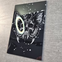 Image 2 of Skull Butterfly Acrylglassprint