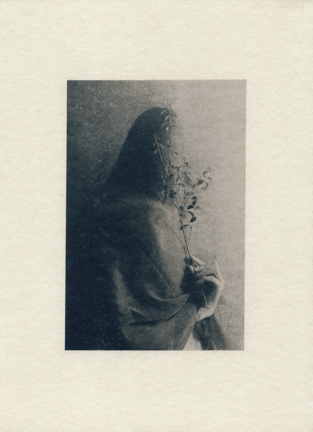 Image of Six of Wands / Original Cyanotype on paper, 30x22 cm