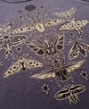 The Celestial Entomologist T-shirt 