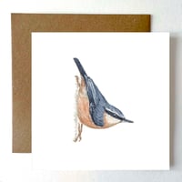Image 1 of NUTHATCH BLANK CARD