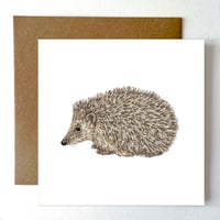 Image 1 of HEDGEHOG BLANK CARD