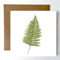 Image 1 of FERN BLANK CARD