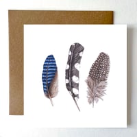 Image 1 of FEATHER BLANK CARD