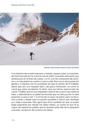 Image of DESPUÉS DEL GRAN INCENDIO