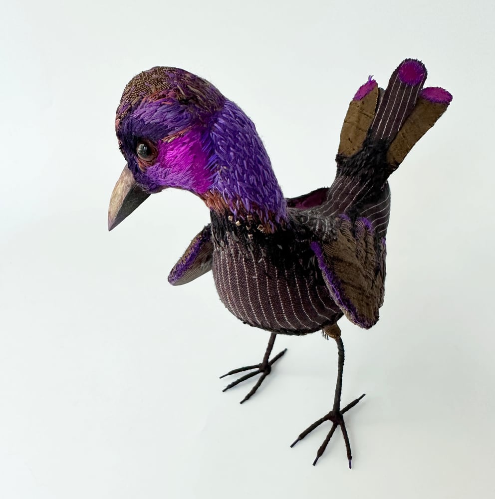 Image of Brown Purple Bird