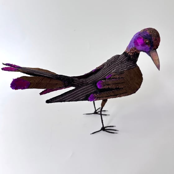 Image of Brown Purple Bird