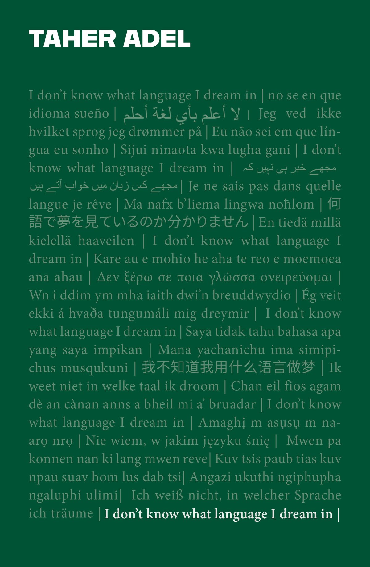 Image of I Don't Know What Language I Dream In by Taher Adel 