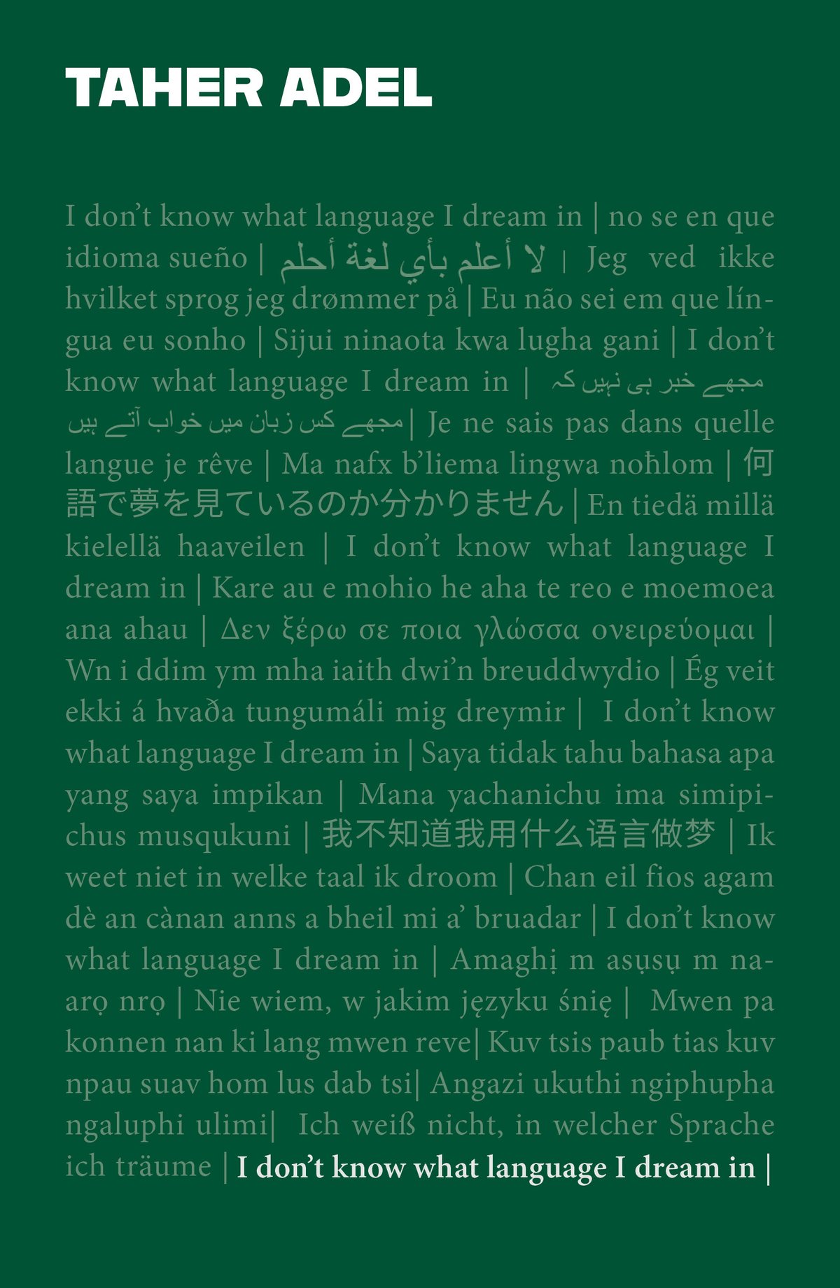 Image of I Don't Know What Language I Dream In by Taher Adel