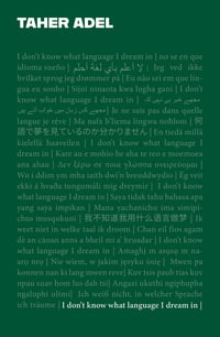 Image 1 of I Don't Know What Language I Dream In by Taher Adel 
