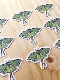 Image 2 of luna moth sticker