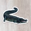 Alligator Sticker