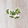 Huckleberries Sticker