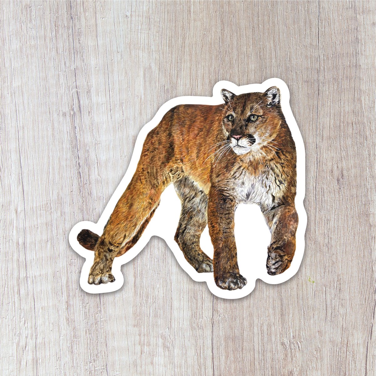 Cougar Sticker Brush And Bark 