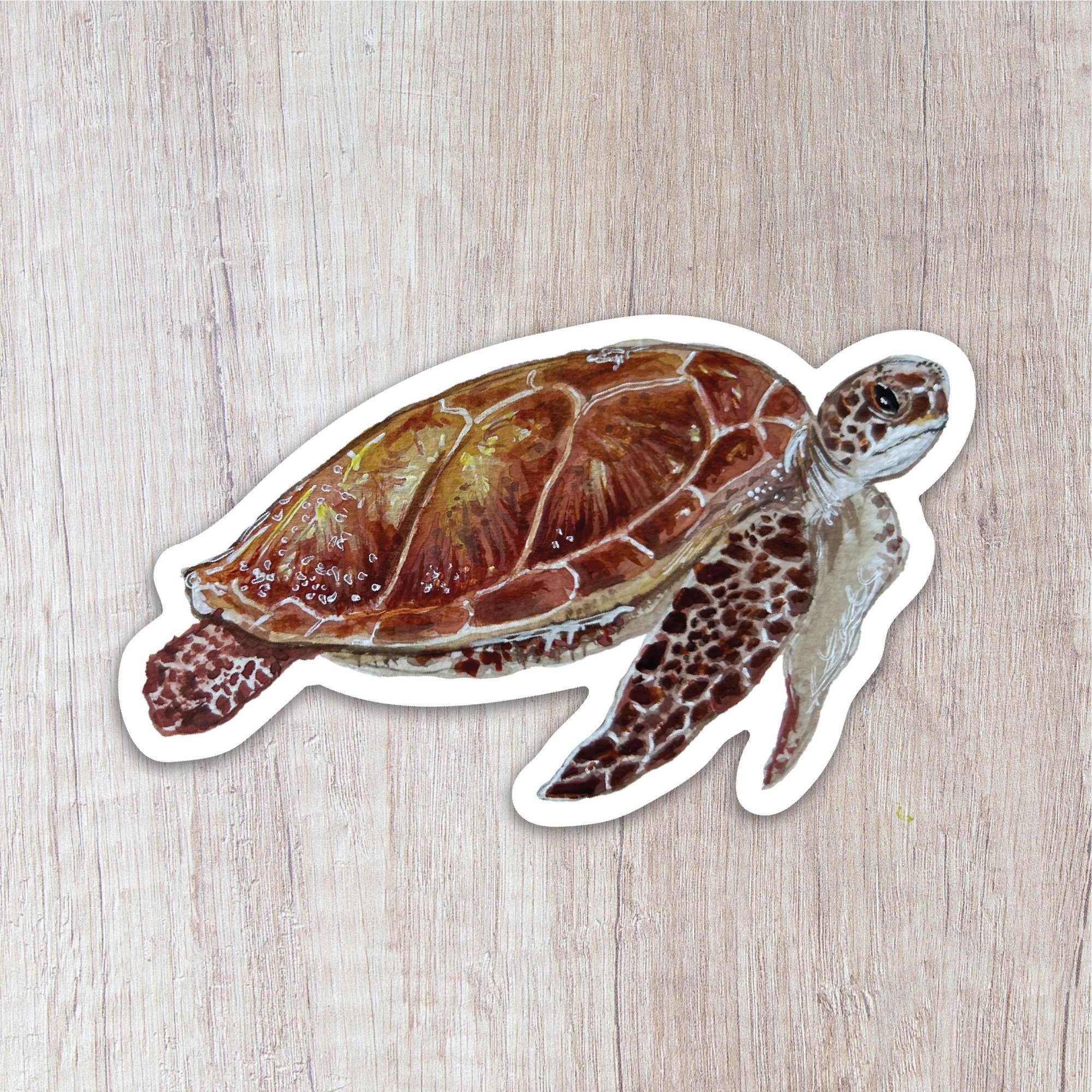 Sea Turtle Sticker | Brush & Bark