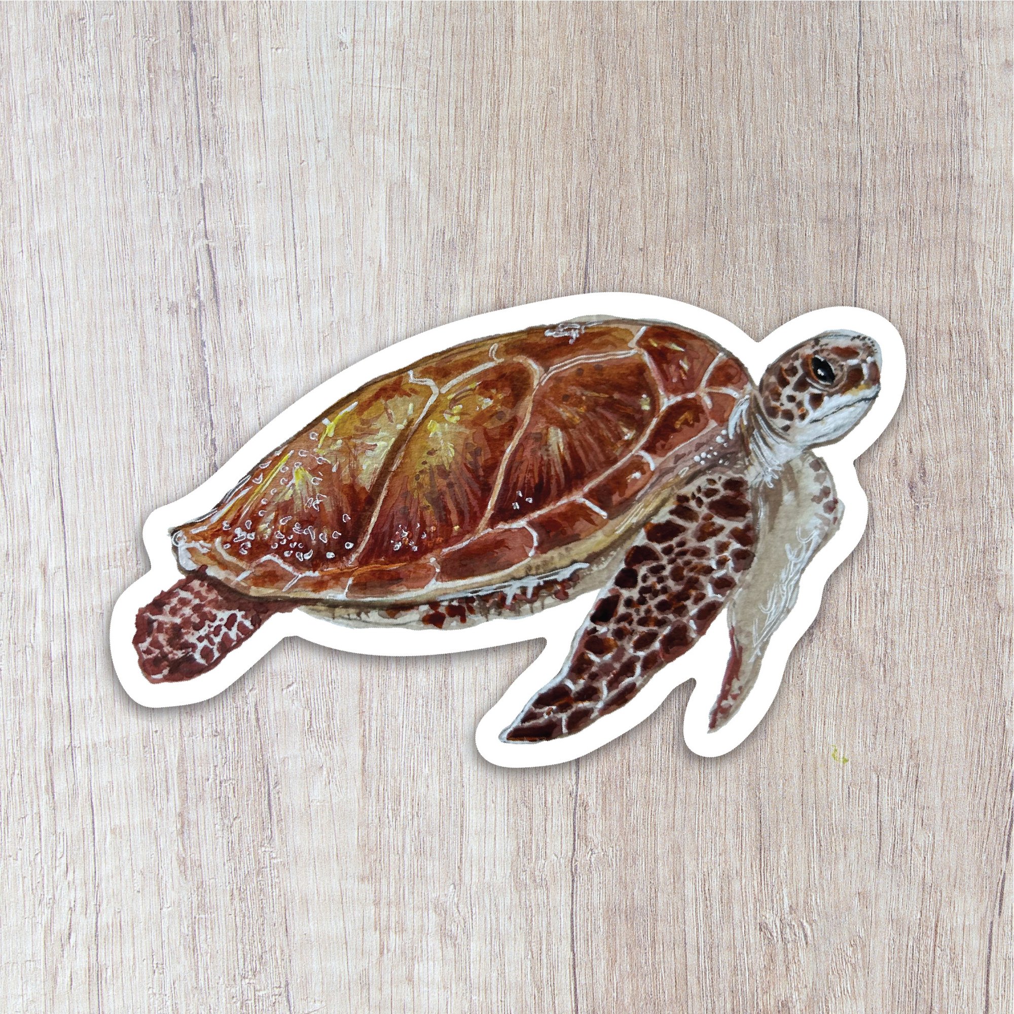 Sea Turtle Sticker | Brush & Bark