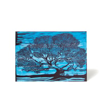 Image 1 of Catalpa tree card