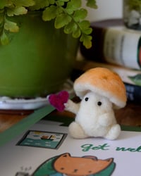 Image 2 of Orange Sherbet Mushling