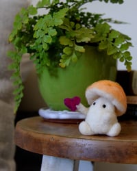 Image 3 of Orange Sherbet Mushling