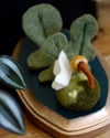White Moth And Fern