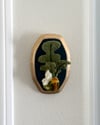 White Moth And Fern