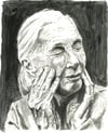 Jane Goodall - Wet Charcoal on White Paper - 9x12
