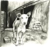 Street Pup - Charcoal on White Paper - 8x10