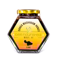 Image 2 of Chaga Mushroom Honey