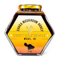 Image 3 of Chaga Mushroom Honey