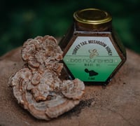 Image 2 of Turkey Tail Mushroom Honey