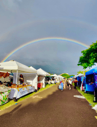 Image 4 of Rainbow Superfood Honey Collection