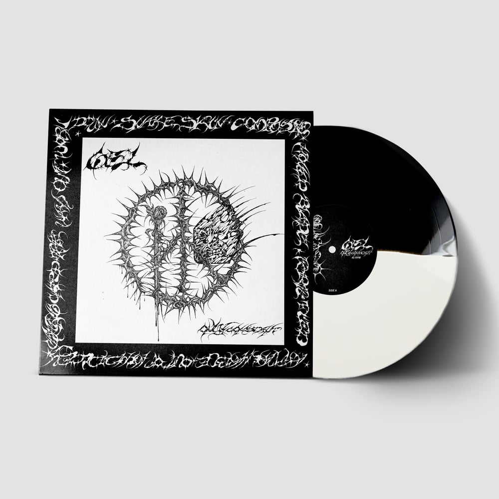 Gel - Only Constant