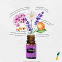 KidScents SleepyIze Essential Oil