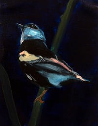 Image 1 of The Bird, 2021
