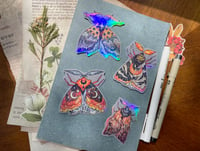Image 4 of Golden moths sticker set