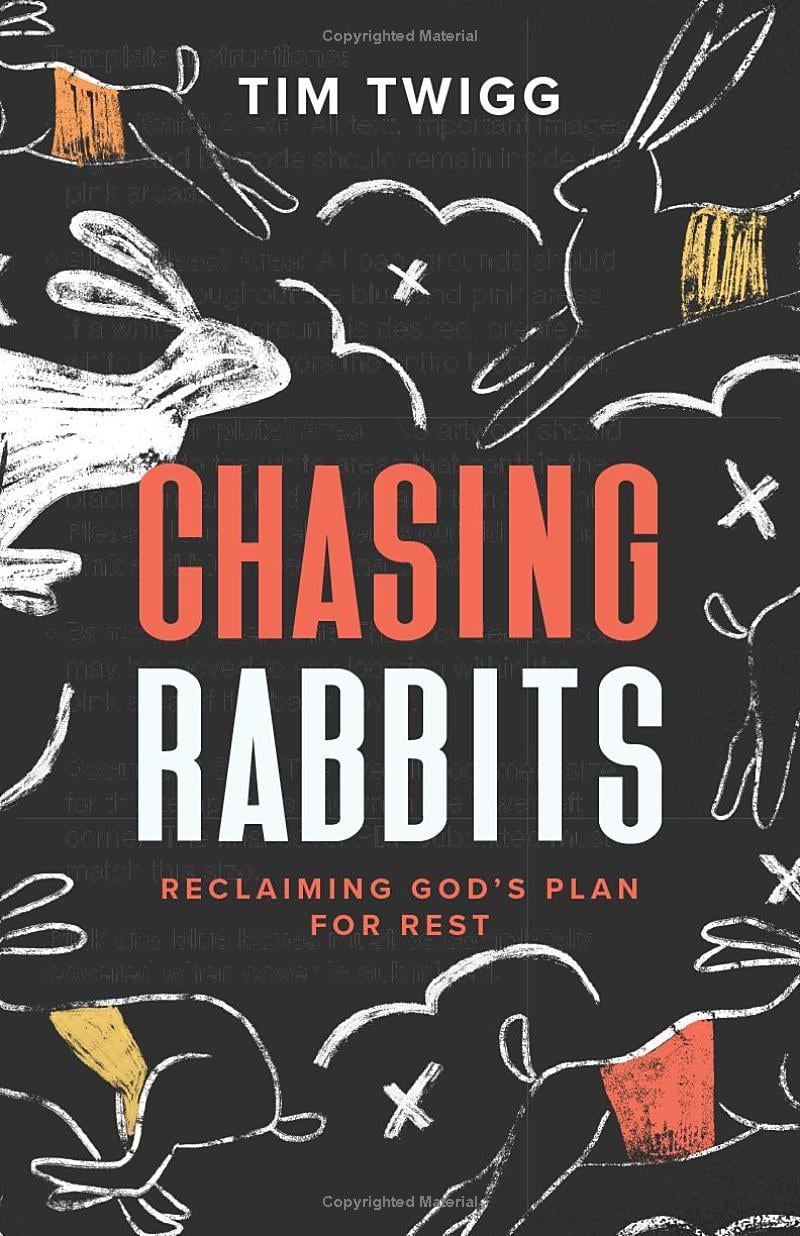 Image of Chasing Rabbits