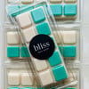 SQUEAKY CLEAN Wax melts snap bar
