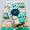 SQUEAKY CLEAN Wax melts snap bar