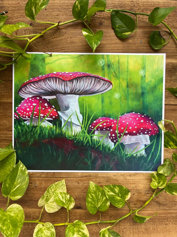 Image of “Toadstools” Print