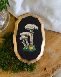 Image 1 of Shiitake Mushrooms