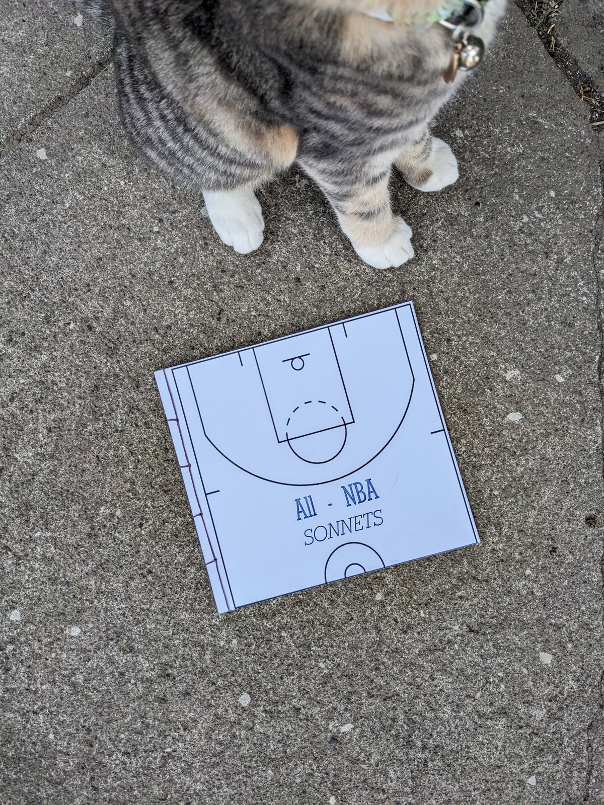 Image of ALL-NBA SONNETS