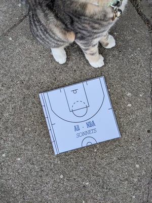 Image of ALL-NBA SONNETS