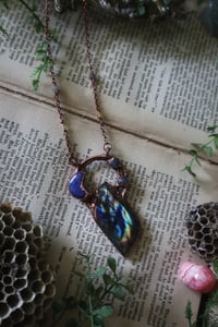 Image 4 of Midsummer Nights Dream Portal