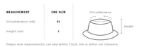 Image 4 of MH0025 MULE HAUS - TWO TEARS IN A BUCKET