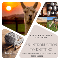 Image 1 of Knitting & Fibre workshop at Tickenham, Cadbury Alpacas Saturday September 30th 3-5.30pm