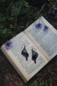 Emerald Swallow Tail Butterfly Wing Earrings 